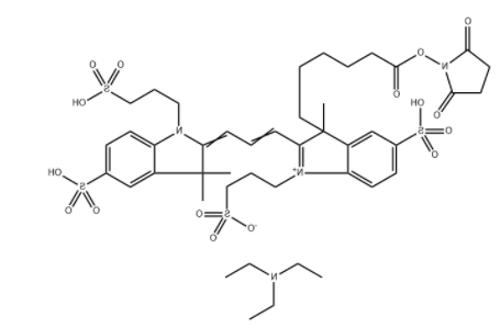 AF555NHS ester  