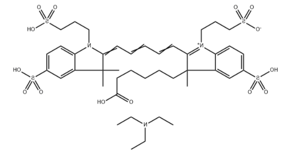 AF647COOH 
