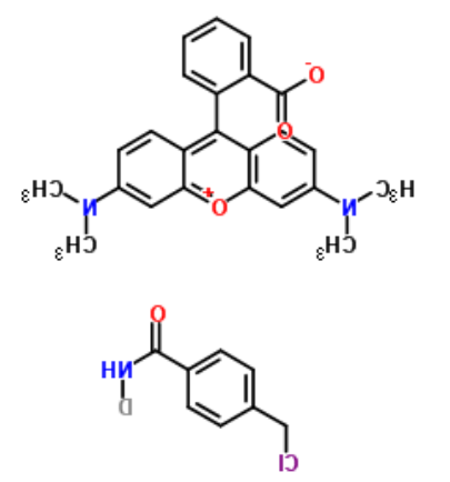 Cell-TrackerOrange CMTMR 