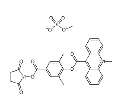 DMAE-NHS ester  