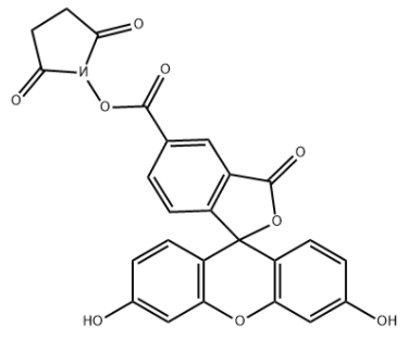 5-Carboxyfluorescein N-succinimidyl ester 