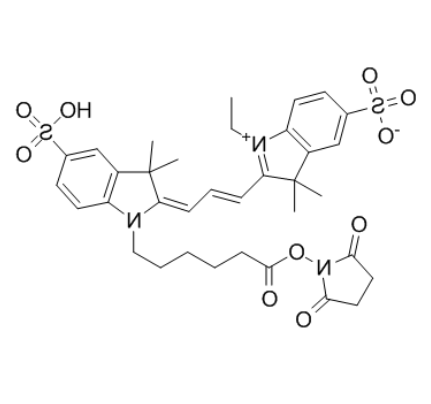 Cyanine 3, SE Cyanine 3, SE