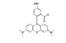 80724-17-0,5-Aminotetramethylrhodamine 80724-17-0,5-Aminotetramethylrhodamine