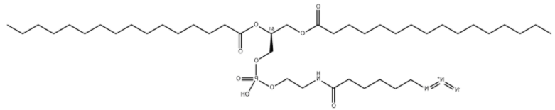 DPPE-Azide 