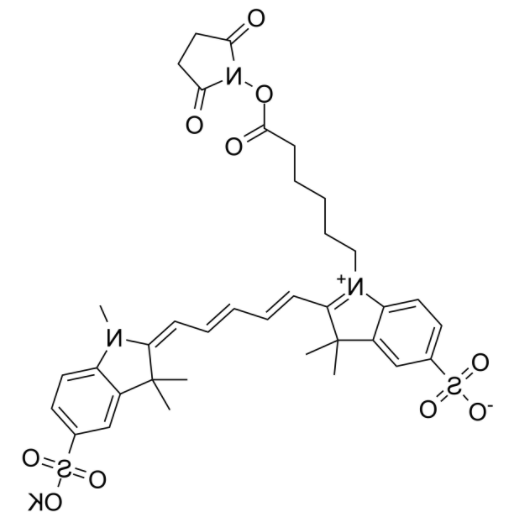 磺基花青5 NHS酯	 