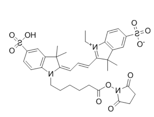 CY3-NHS酯 