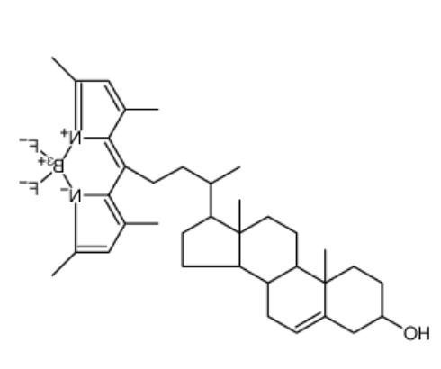 BODIPY-Cholesterol 