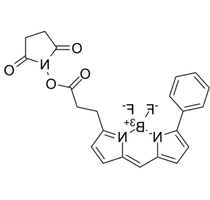 BIODIPY R6G ester 