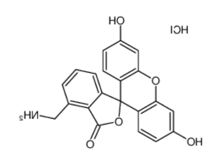 4’-胺甲基荧光素盐酸盐	 