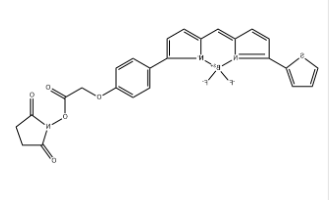 BDP TR NHS Ester