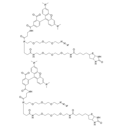 TAMRA-Azide-PEG-Biotin 