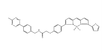 BDP TR methyltetrazine