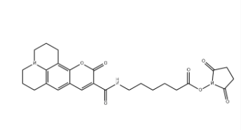Coumarin 343 X NHS ester
