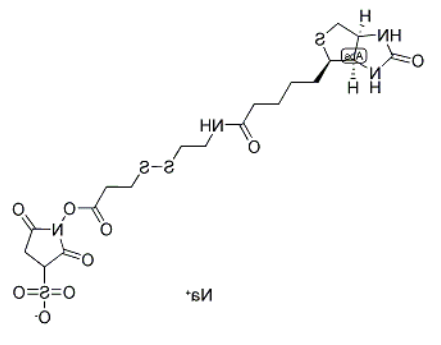 NHS-SS-biotin 