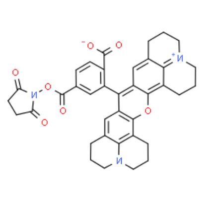 6-ROX NHS 活化酯 
