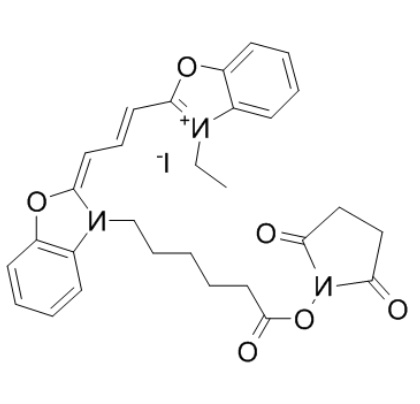 CY2-SE 