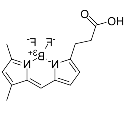 3-Bodipy-propanoic Acid 