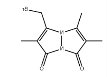 Monobromobimane (mBBr)