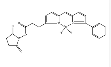 BODIPY R6G NHS ester