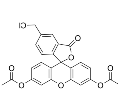 5-氯甲基荧光素二乙酸酯	 