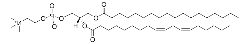 18:0-18:2 PC，CAS:27098-24-4，1-硬脂酰-2-亚油酰-sn-甘油-3-磷脂酰胆碱