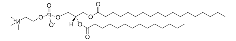 18:0-14:0 PC，CAS:206640-20-2，1-硬脂酰-2-肉豆蔻酰-sn-甘油-3-磷脂酰胆碱
