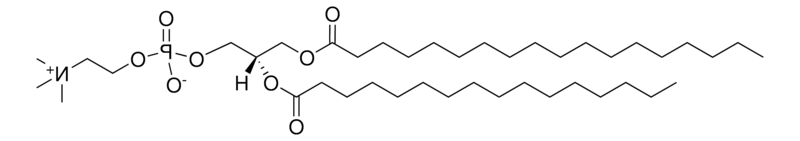 18:0-16:0 PC，CAS:59403-53-1，1-硬脂酸-2-棕榈酰磷脂酰胆碱