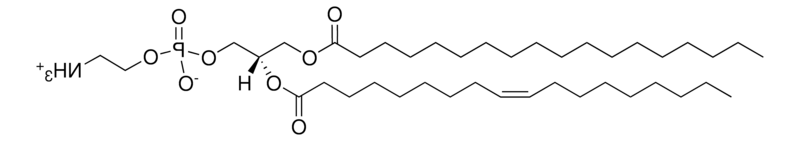 18:0-18:1 PE ，CAS:6418-95-7，1-硬脂酰-2-油酰-sn-甘油-3-磷酸乙醇胺