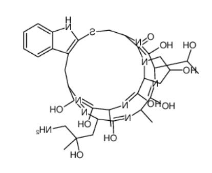 ((R)-4-Hydroxy-4-methyl-Orn⁷)-Phalloidin 