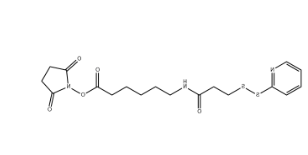 SPDP-C6-NHS ester