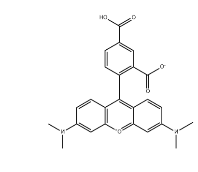 5-Carboxytetramethylrhodamine 5-Carboxytetramethylrhodamine