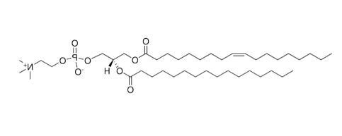 18:1-16:0 磷脂酰胆碱，18:1-16:0 PC，CAS:59491-62-2