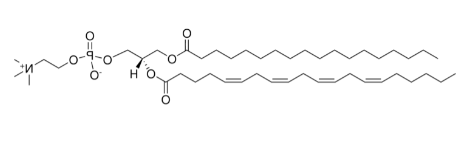 18:0-20:4 PC，CAS:35418-59-8，L-α-磷脂酰胆碱-β-花生四烯酰-γ-硬脂酰的