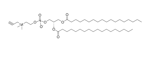 18:0 propargyl PC，CAS:1830366-39-6，PC磷脂酰胆碱