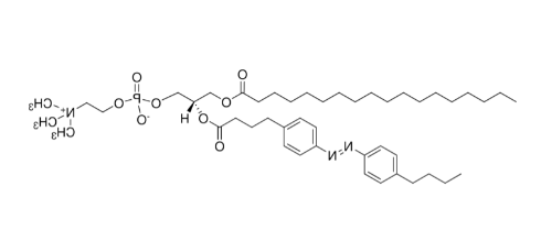18:0-azo PC，CAS:2098674-45-2，1-硬脂酰基-2-[(E)-4-(4-((4-丁基苯基)二氮烯基)苯基)丁酰基]-sn-甘油-3-磷酸胆碱