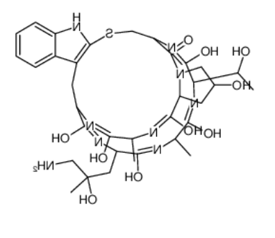 ((R)-4-Hydroxy-4-methyl-Orn⁷)-Phalloidin 