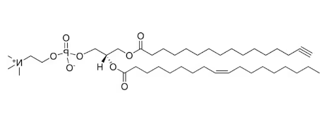 :0(Alkyne)-18:1 PC，CAS:1633800-00-6，PC磷脂酰胆碱衍生物