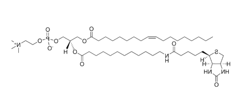 18:1-12:0 Biotin PC，CAS:2260669-99-4，18:1-12:0 生物素 PC