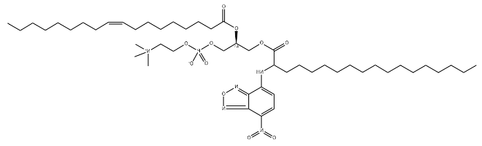 18:0(2-NBD)-18:1 PC  CAS:2707415-28-7，2-荧光素标记硬脂酰-油酰磷脂酰胆碱