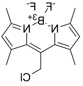 BODIPY 8-Chloromethane