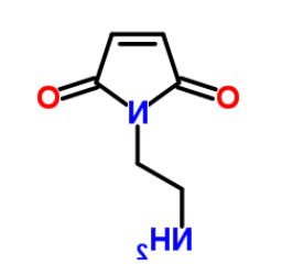 Maleimide-Amine