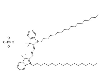 DiI 