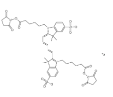 Sulfo-Cy5 bis-SE