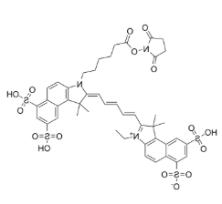 Sulfo-Cy5.5-E 琥珀酰亚胺酯