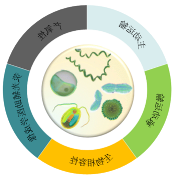 药物递送系统 药物递送系统