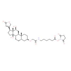 Digoxigenin NHS ester Digoxigenin NHS ester