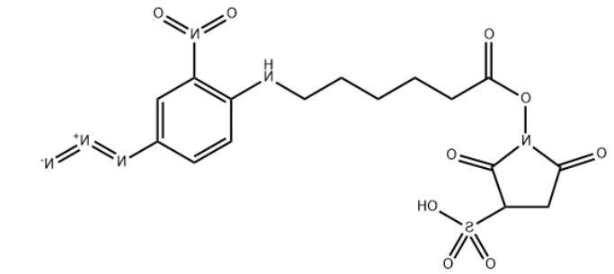 Sulfo-SANPAH 