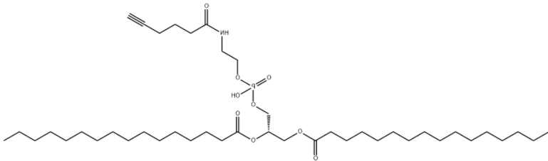 DPPE-Alkyne 