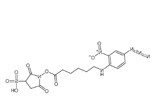 102568-43-4