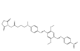 BHQ-2琥珀酰亚胺酯